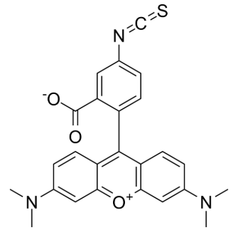 80724-19-2，5-TRITC-SCN，四甲基罗丹明-5-异硫氰酸酯